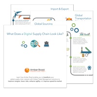 Global-Value-Chain-Excellence.jpg