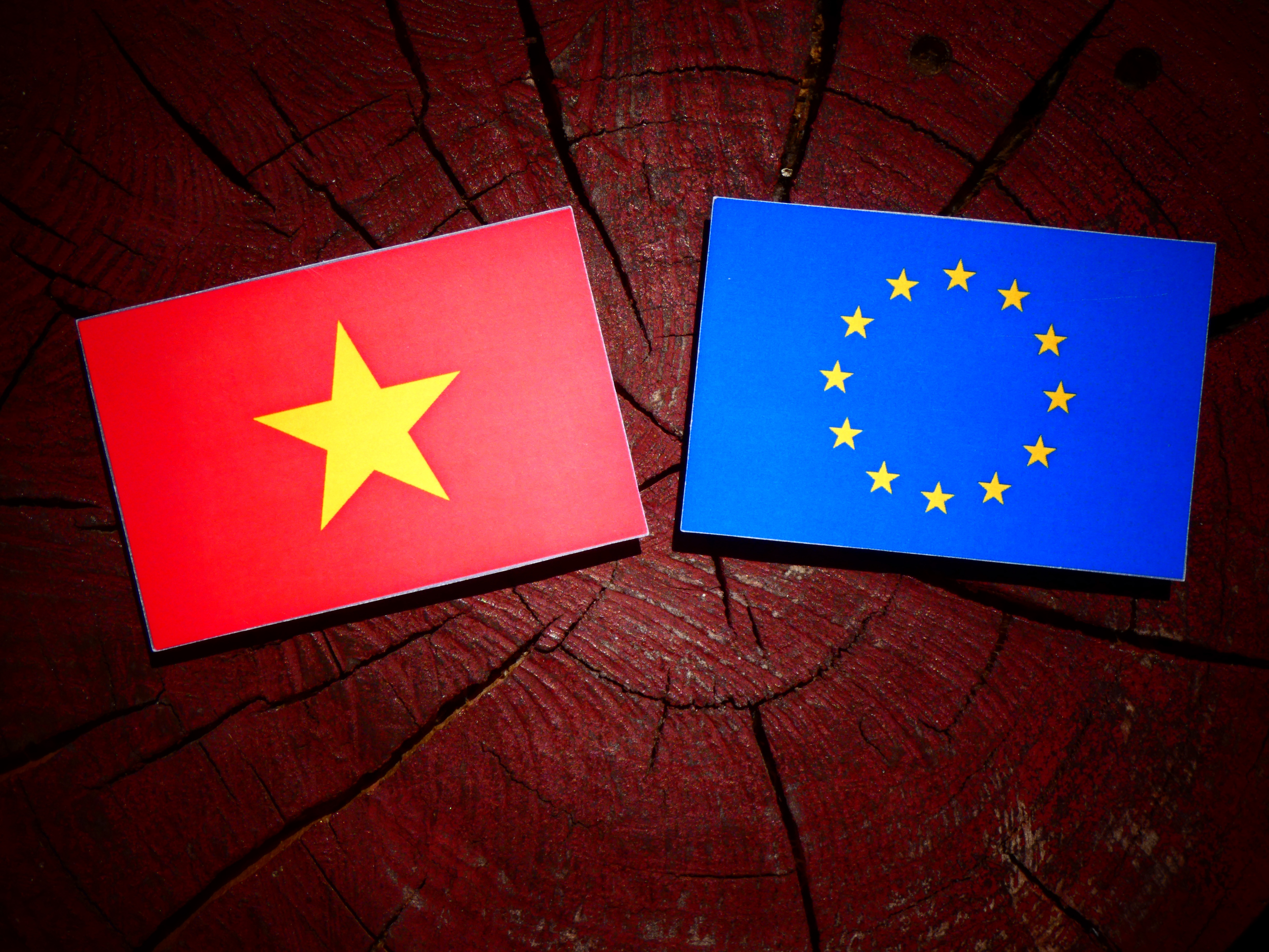 Amber Road EU-Vietnam Free Trade Agreement